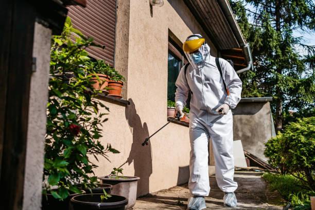 Best Pest Control Near Me  in South Beloit, IL