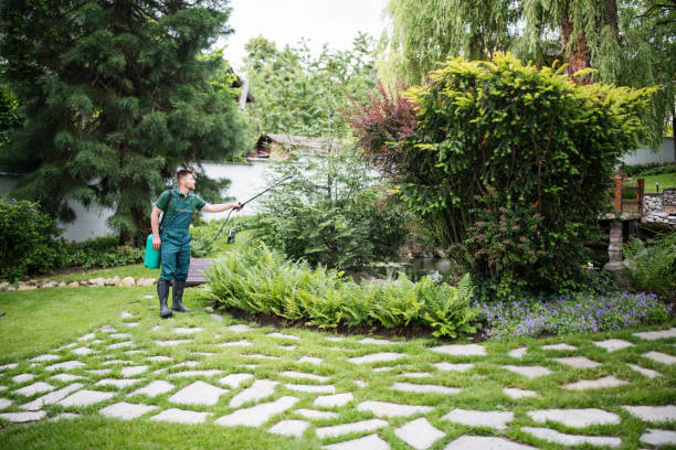 Best Wasp Removal Services  in South Beloit, IL