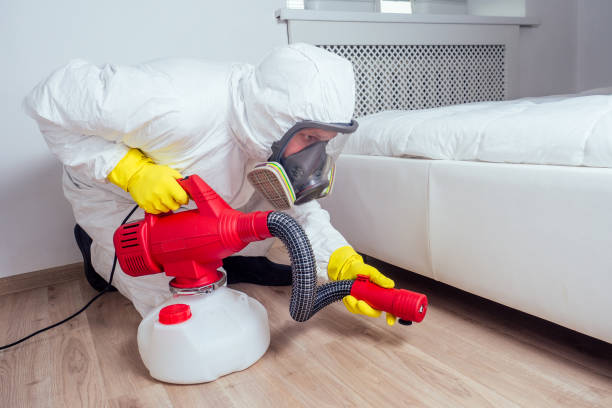 Best Pest Removal Services  in South Beloit, IL