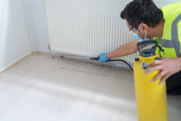 Trusted South Beloit, IL Pest Control Experts